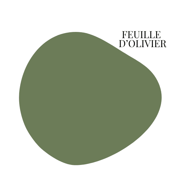 feuille d'olivier